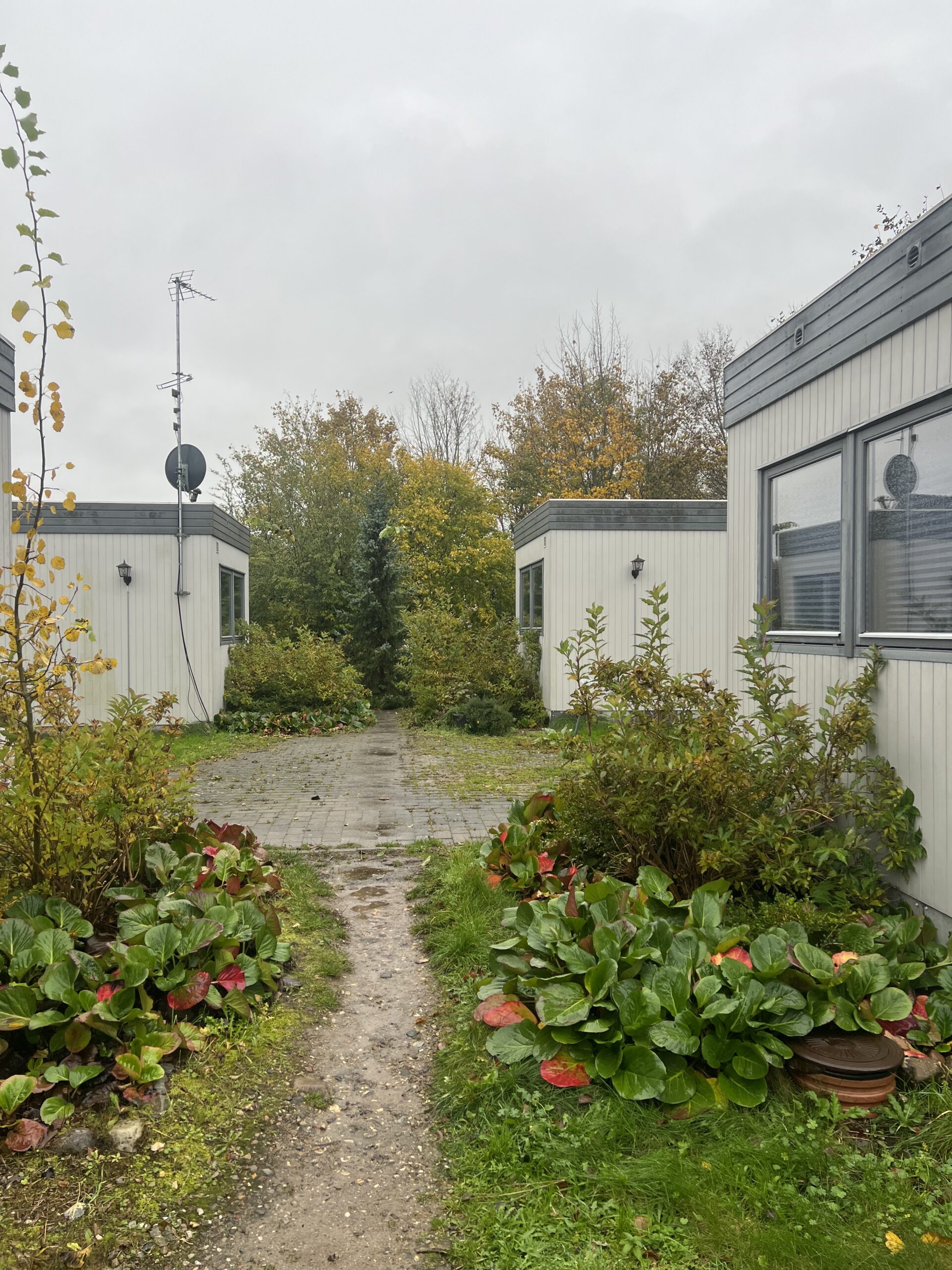 En smal jordsti fører mellem to lave, lyse pavillonbygninger mod buske og træer med efterårsfarver under en grå himmel. Store grønne bunddækkeplanter med rødlige blade flankerer stien, og en parabol- og tv-antenne ses på tagene.