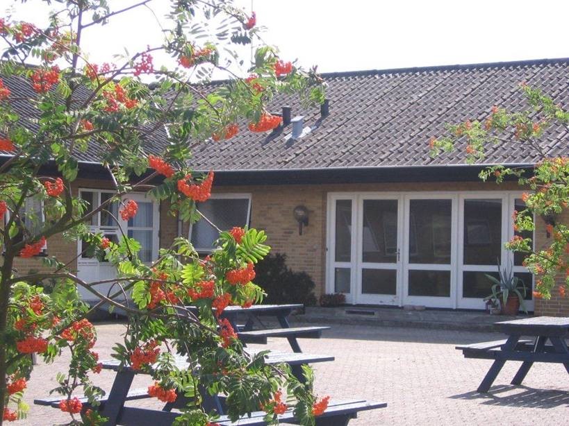 Rognetræ med orange-røde bær i forgrunden, grene dækker delvist en solfyldt gård med flere mørkeblå picnicborde; bagved ses en lav gulstensbygning med hvide døre og vinduer og et tag med tagsten.