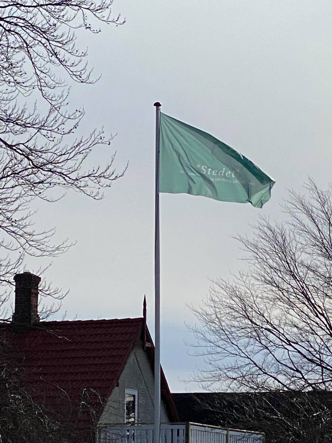 Lysegrønt flag med teksten "Stede" blafrer i vinden på en flagstang over et hus med rødt tag, omgivet af nøgne trægrene mod en grå himmel.
