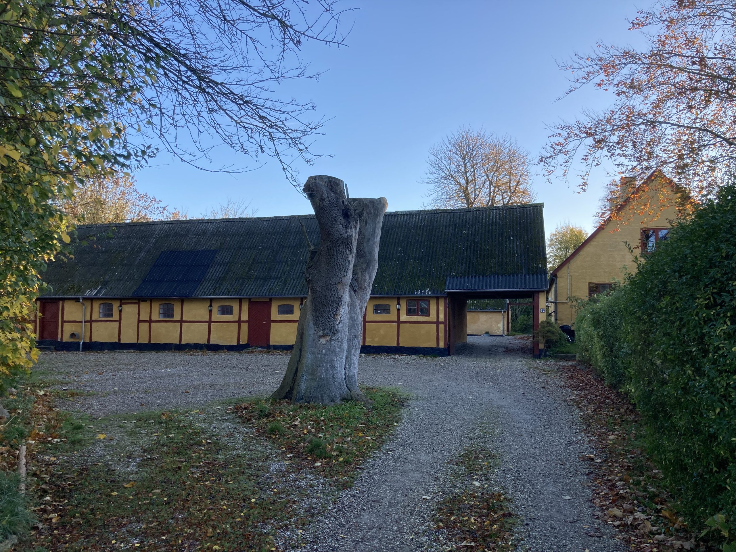 En høj, afsavnet træstamme står midt i en grusgård omgivet af efterårsblade, mens en grusvej fører forbi den mod en gul bindingsværksbygning med røde rammer og mørkt tag under en klar blå himmel.