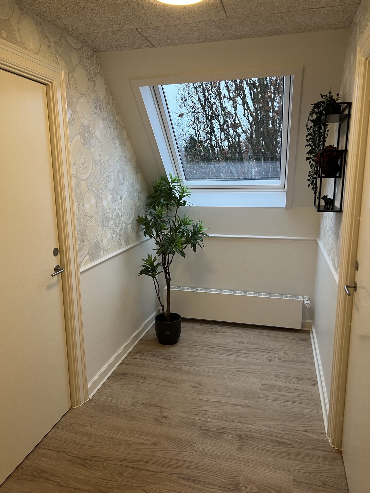 Mellemgang med skråvæg og stort ovenlysvindue, hvor nøgne træer ses udenfor. Et højt grønt potteplante står foran en lav radiator på trægulv, væggene har cirkelmønstret tapet til venstre, dør på begge sider og en lille væghylde med pynt til højre.