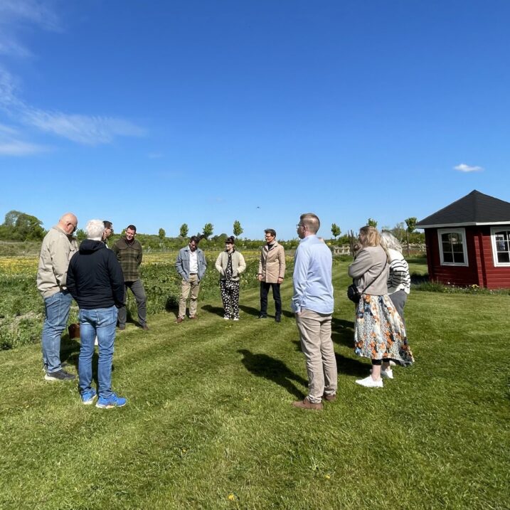 Udvalgt billede