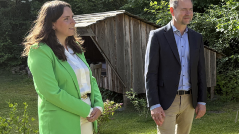 Udvalgt billede
