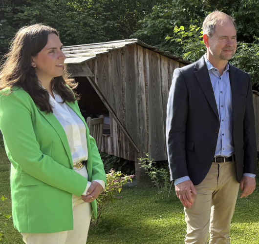 Udvalgt billede